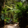 BOWHEAD RX™ ADVENTURE-E BIKE