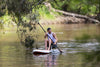 Sea Creature Wheelchair Paddleboard Seat