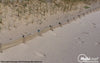 Mobi-Fence™ TRI-X BIODEGRADABLE Sand and Dust Fence 30m x 1m high.