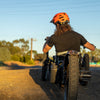 Bowhead Reach Adaptive MTB - Push Mobility