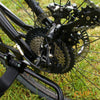 Maddiline Crosswind XE - Push Mobility