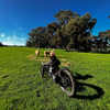 Bowhead Reach Adaptive MTB - Push Mobility