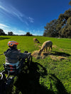 Bowhead Reach Adaptive MTB - Push Mobility