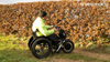 THE BEAST by STRICKER - Push Mobility