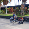 Lasher Sport BT-X - Push Mobility