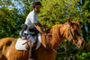 Hippolib V2 Pack - Riding School - Push Mobility