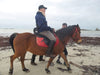 Hippolib V2 Pack - Riding School - Push Mobility
