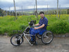 Stricker Hybrid - Para / Tetra - Push Mobility